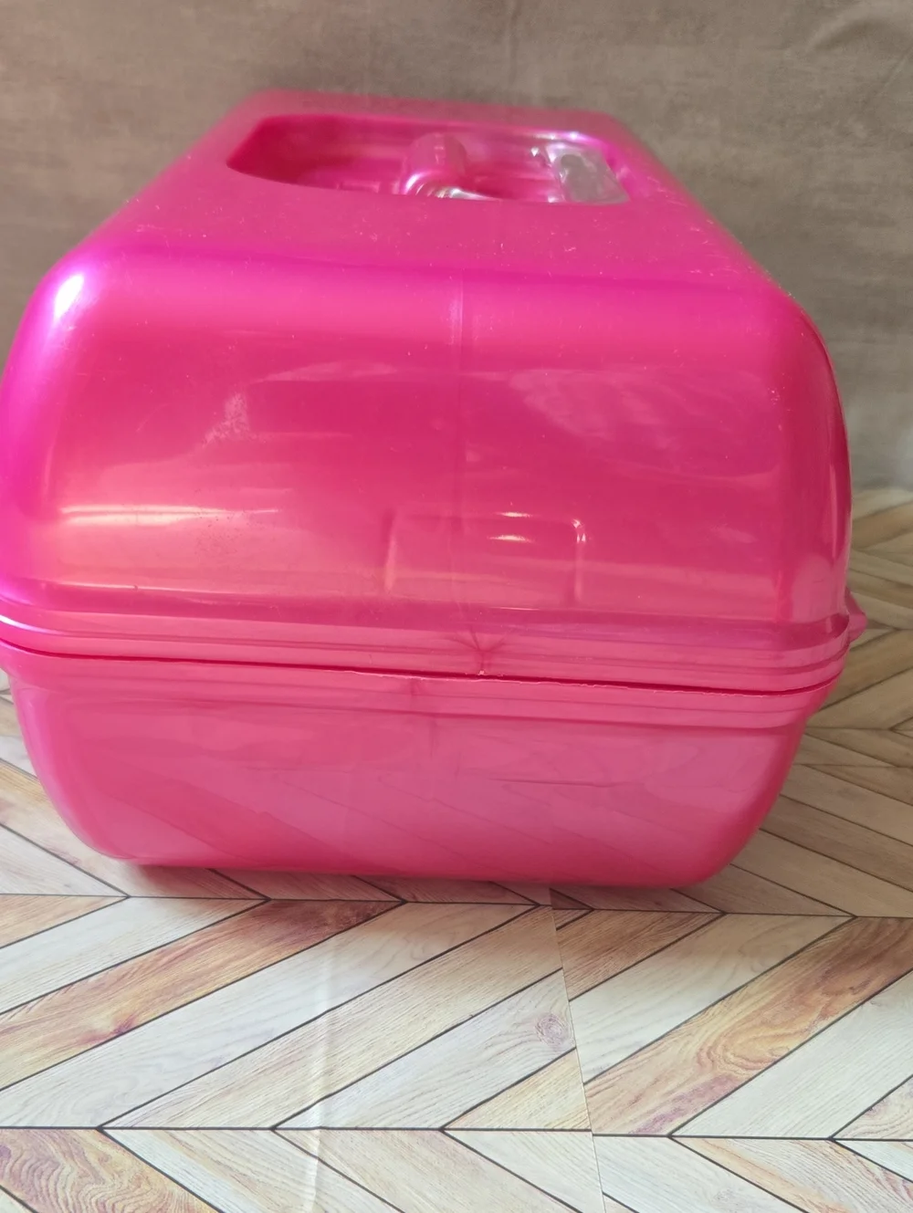 Vintage Y2K Caboodles Hot Pink Makeup Organizer Train Case Beauty Box